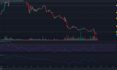 녹색 및 빨간색 가격 막대가 있는 어두운 배경의 Apecoin APE 가격 차트