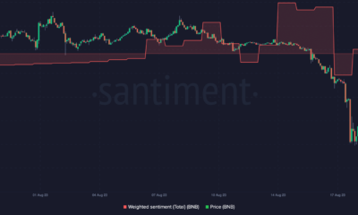 BNB 가격 및 가중치 감정