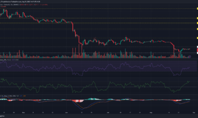 어두운 배경의 바이낸스 코인 BNB 가격 차트
