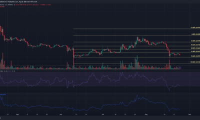 어두운 배경의 Dogecoin DOGE 가격 차트