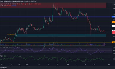 LINK 가격 분석