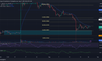 XRP 가격 분석