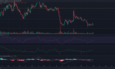 어두운 배경의 Cardano ADA 가격 차트