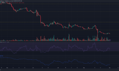 어두운 배경의 Apecoin APE 가격 차트