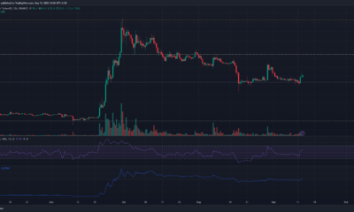 어두운 배경의 Bitcoin Cash BCH 가격 차트