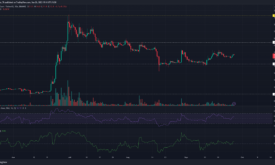 어두운 배경의 Bitcoin Cash BCH 가격 차트