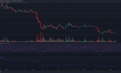 어두운 배경의 바이낸스 코인 BNB 가격 차트