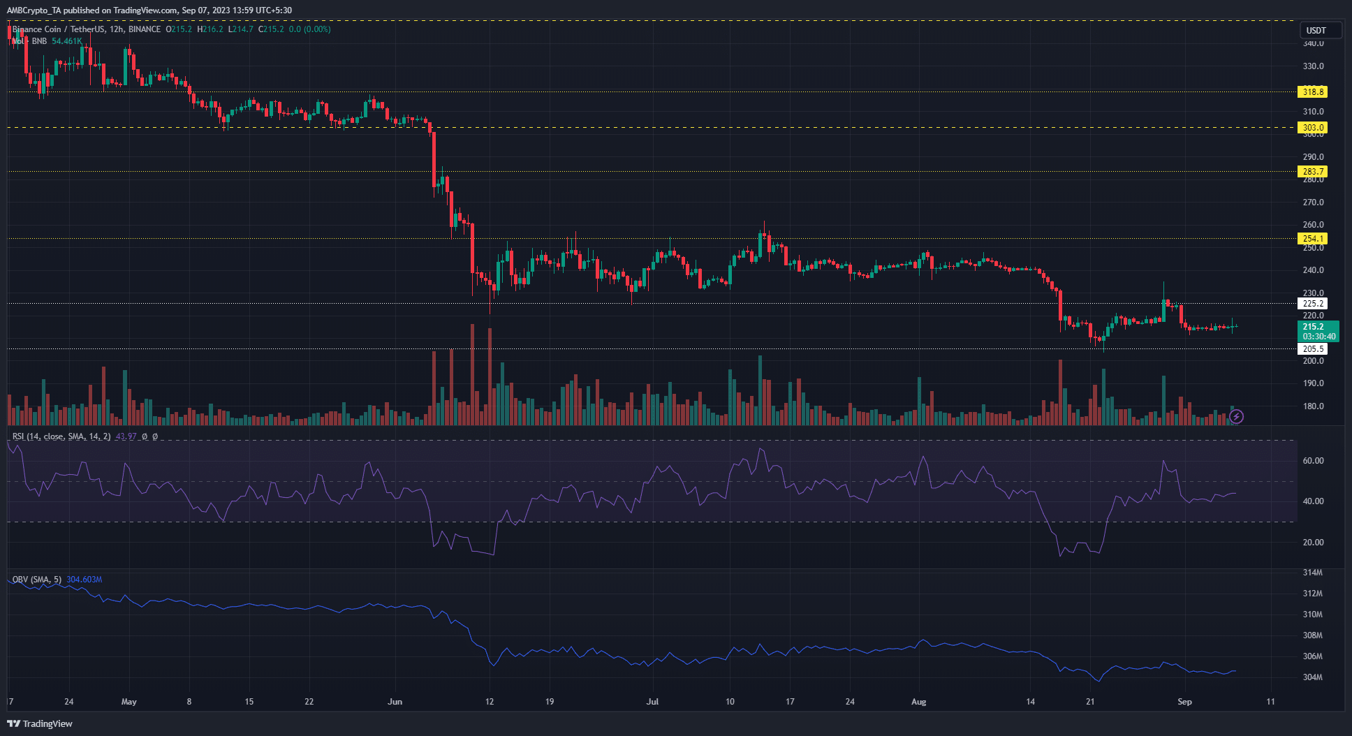 어두운 배경의 바이낸스 코인 BNB 가격 차트