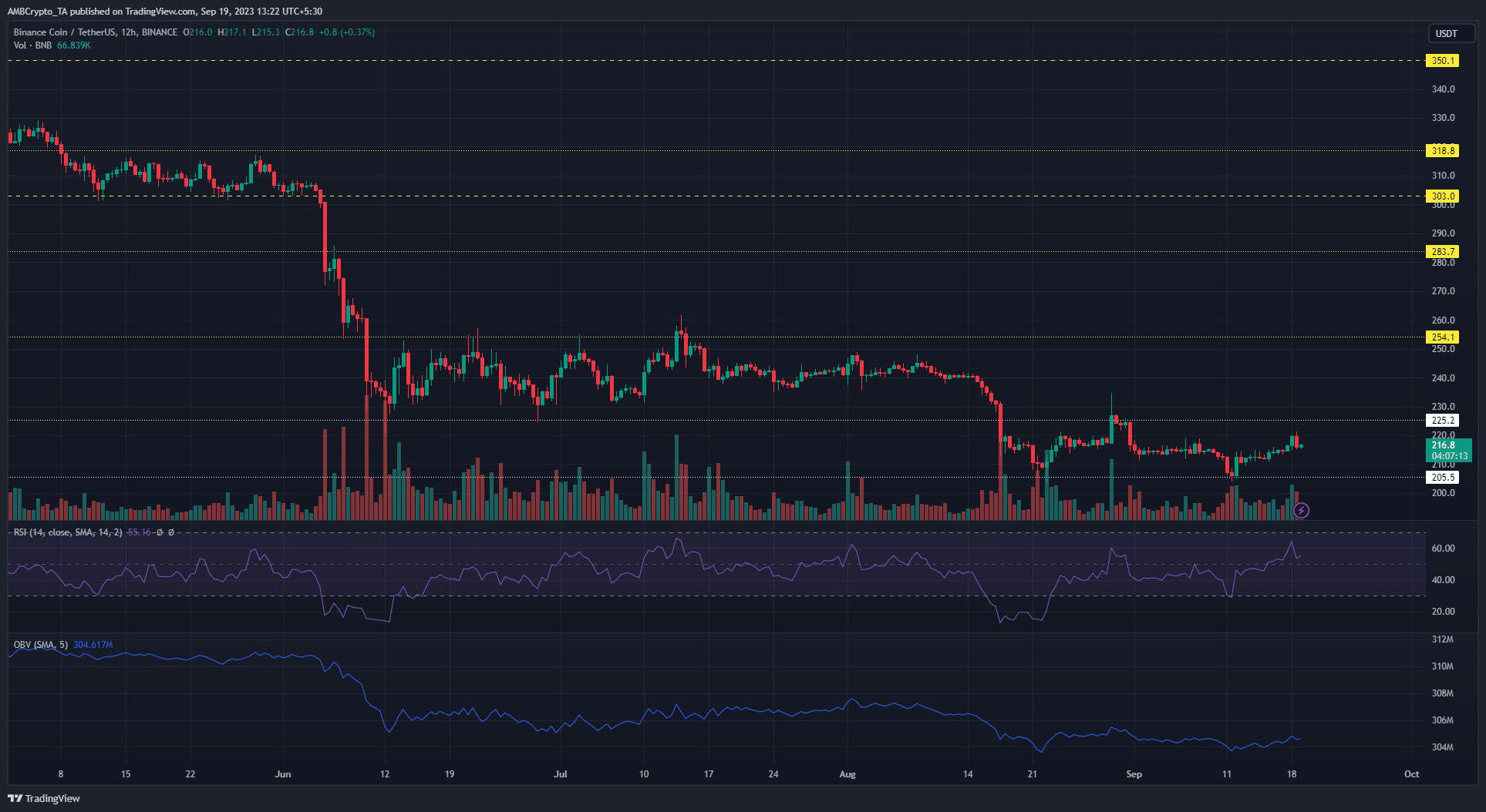 어두운 배경의 바이낸스 코인 BNB 가격 차트