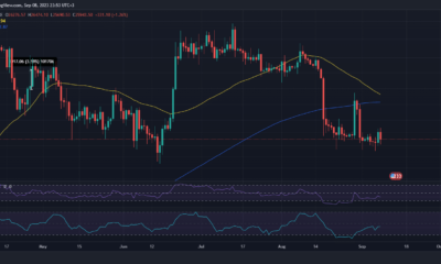 BTC 가격 조치