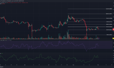 어두운 배경의 Dogecoin DOGE 가격 차트
