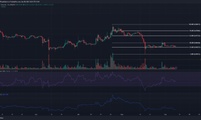 어두운 배경의 Dogecoin DOGE 가격 차트