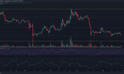 어두운 배경의 DOGE Dogecoin 가격 차트