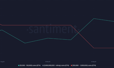 Ethereum 고래는 ETH 보유량을 늘리고 있습니다. – 무엇을 위해?