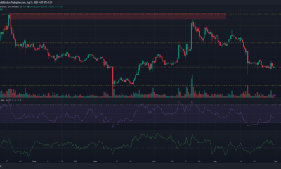어두운 배경의 Chainlink 가격 차트