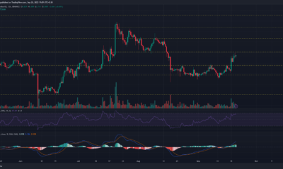 어두운 배경의 Chainlink LINK 가격 차트