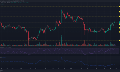 어두운 배경의 Chainlink LINK 가격 차트