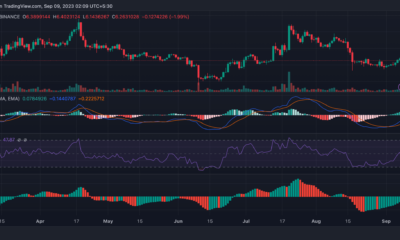 Chainlink: 표시기는 LINK의 상태에 대해 이를 나타내지만 보기 좋지 않습니다.