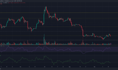 어두운 배경의 Litecoin LTC 가격 차트