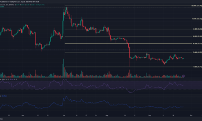 어두운 배경의 Litecoin LTC 가격 차트