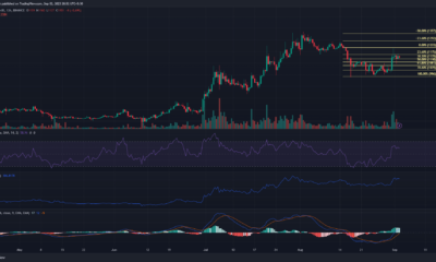 어두운 배경의 Maker MKR 가격 차트