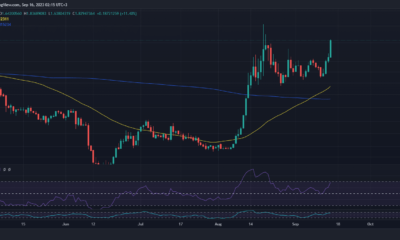 Thorchain RUNE 가격 조치