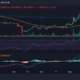 시바견 일일 가격 동향