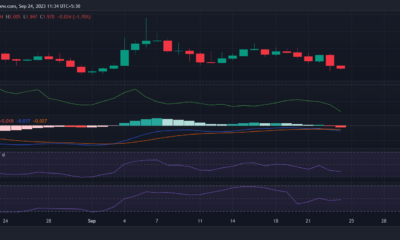 Chainlink가 고래의 관심을 끄는 것이 Synthetix에 나쁜 이유