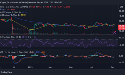 SOL/USD 일일 시간대 가격