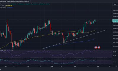 TRX 가격 조치