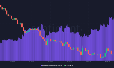 Worldcoin 개발 활동 및 WLD 가격
