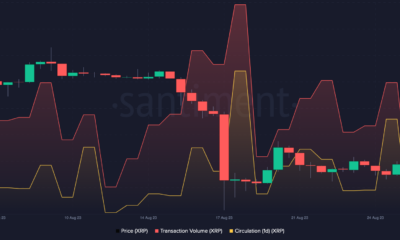 XRP: 8월 가격 하락 속에서 하락세는 상승세를 앞질렀습니다.