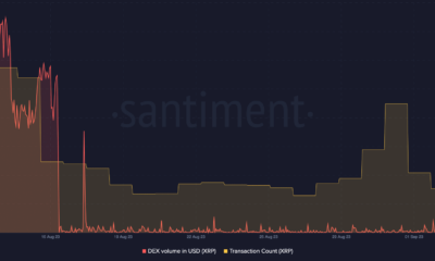 XRPL DEX 볼륨 및 거래 수