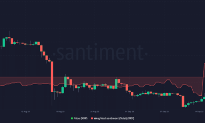 XRP 가격 및 가중치 감정