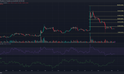 어두운 배경의 Ripple XRP 가격 차트