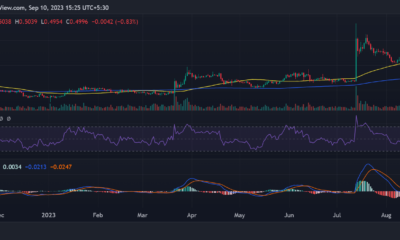 리플 XRP 가격 움직임