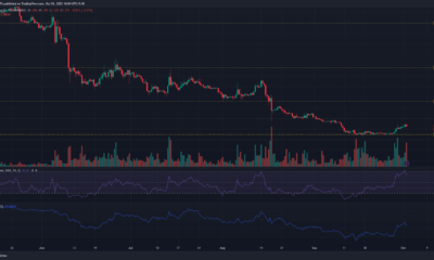 어두운 배경의 Apecoin APE 가격 차트