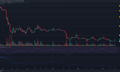 바이낸스 코인 BNB 가격 차트
