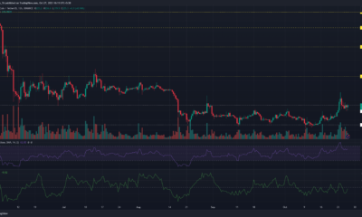 바이낸스 코인 BNB 가격 차트