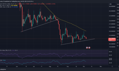 BNB 가격 조치