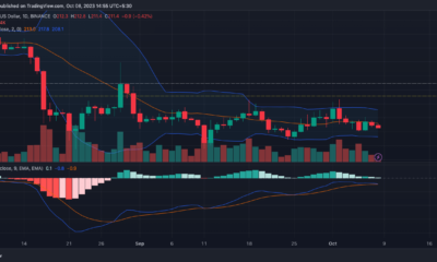 BNB 가격 조치