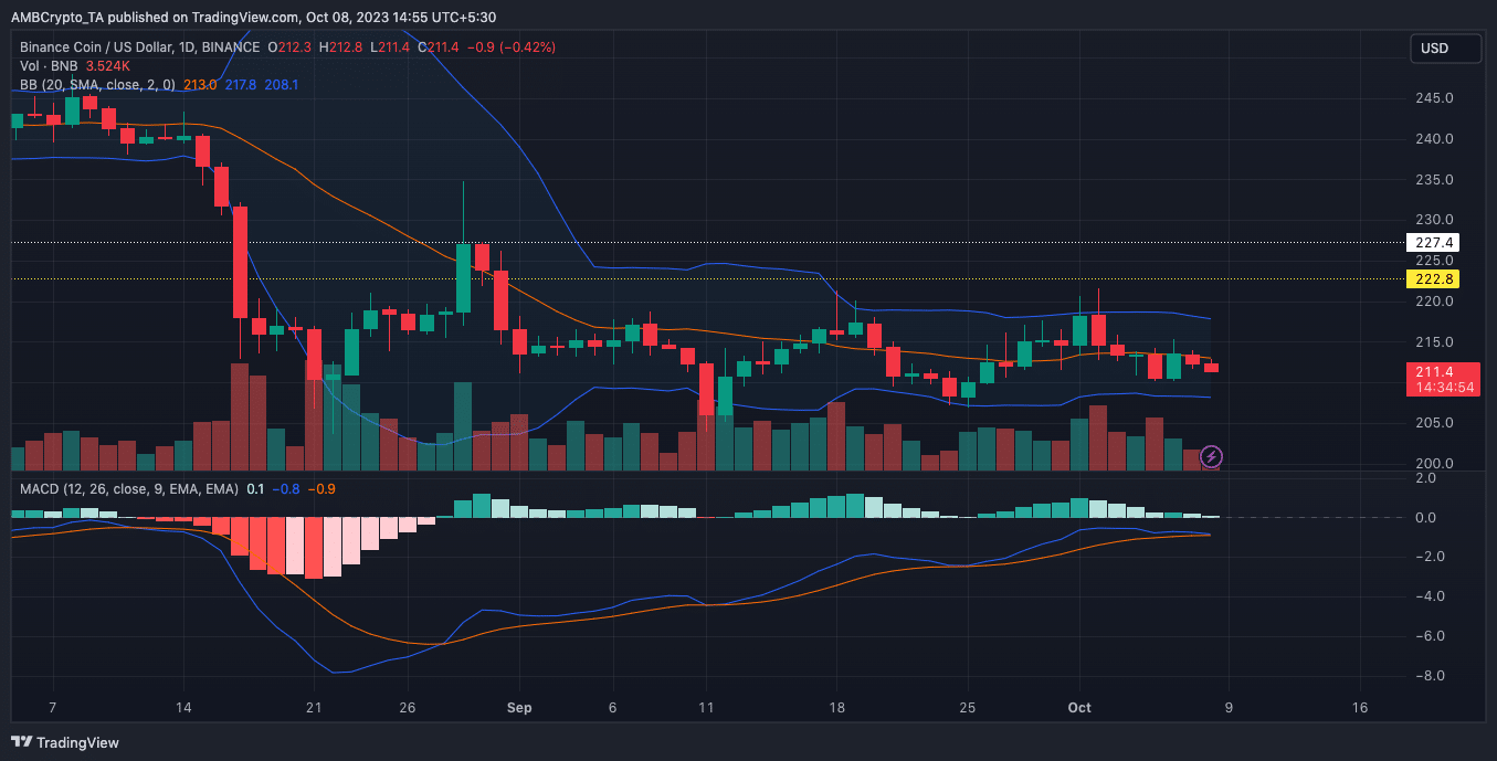 BNB 가격 조치