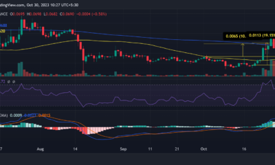 DOGE/USD 가격 변동
