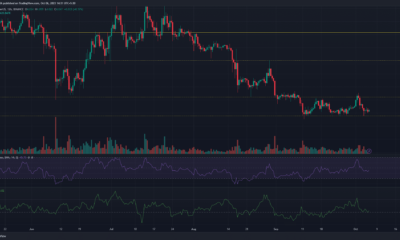 어두운 배경의 Polkadot DOT 가격 차트