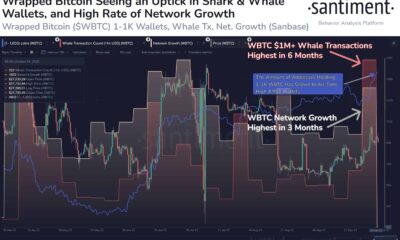 WBTC 급등에 대한 관심 - 비트코인도 이를 따를 것인가?