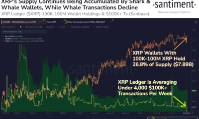 리플: 고래 활동이 줄어들면 XRP에 영향을 미칠까요?