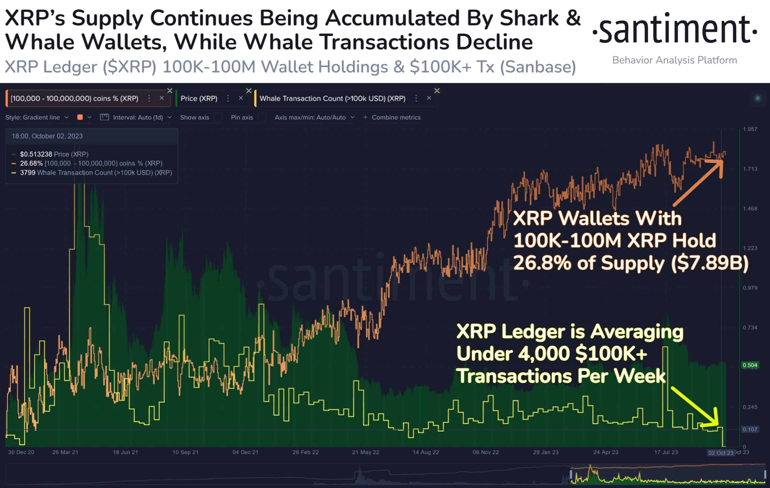 리플: 고래 활동이 줄어들면 XRP에 영향을 미칠까요?