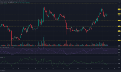 Chainlink LINK 가격 차트