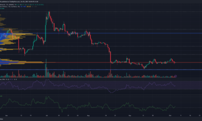 어두운 배경의 Litecoin LTC 가격 차트