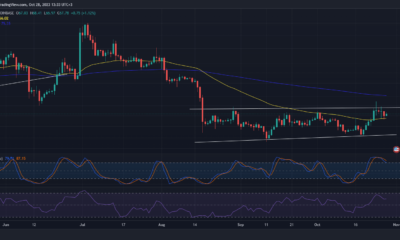 LTC 가격 조치